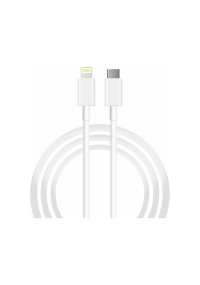 6a 100w Type-c To Lightning 2metre Süper Hızlı Data Ve Şarj Kablosu Standart