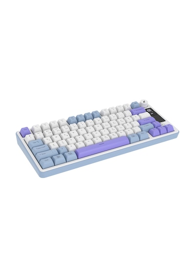 Hawk Gaming Hk255 Membrane Lcd Rgb Kablosuz/bluetooth Mavi Mor %75 Türkçe Gaming Klavye
