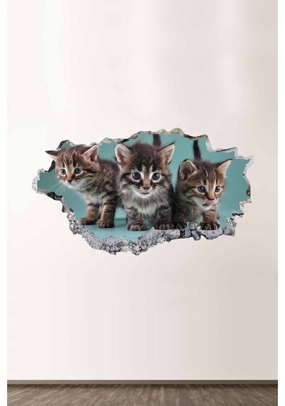Sevimli Yavru Kediler Full Hd Baskı Salon Ve Oturum Odası Modern Duvar Sticker
