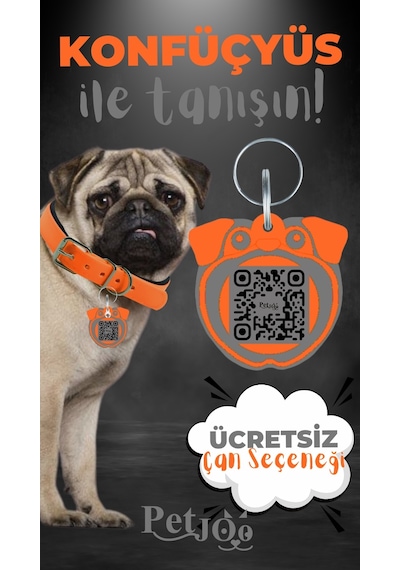 Petjoo 9.Konfüçyüs Gri-Turuncu Qr'lı Köpek Künyesi