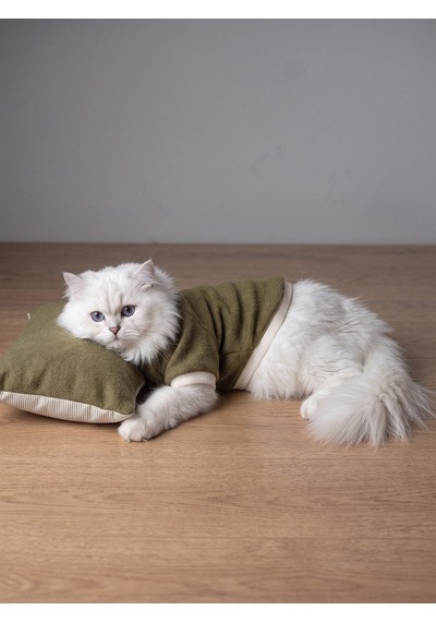 Natura Cozy Pati & Yastık Nefti Yeşil Polar Kedi Sweatshirt Ve Mini Yastık 2 Parça