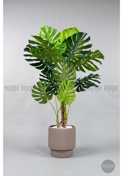 Biçiçek Yapay Monstera Ağacı Deve Tabani 160 Cm Mocha Vega Saksıda