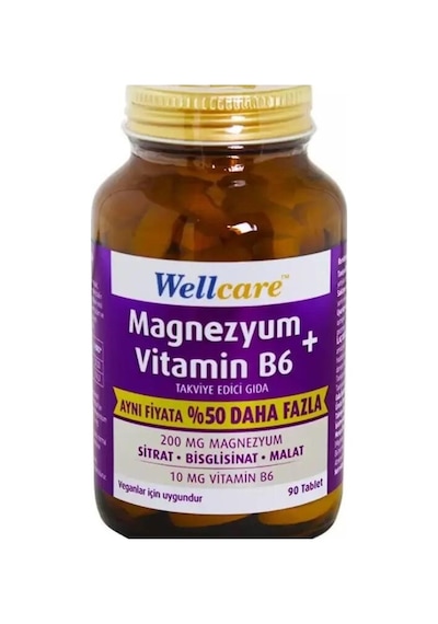 Wellcare Magnezyum + Vitamin B6 90 Tablet