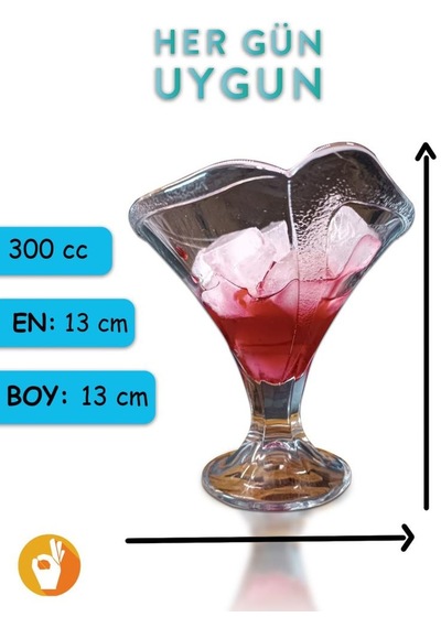 2'li Manolya Dondurmalık