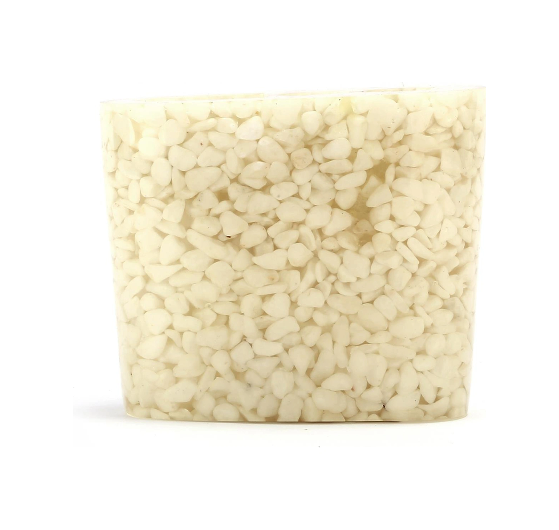 2 Adet Diş Fırçalık Deniz Taşı El Yapımı 400 Gr 10x5x9cm Banyo Seti Çok Renkli