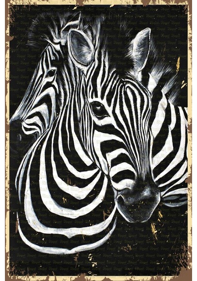 Zebra Görselli Retro Ahşap Poster - 711991260