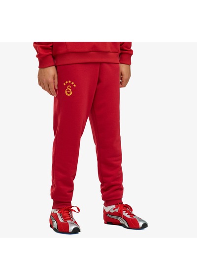 Puma Galatasaray 26/27 Çocuk Kırmızı Eşofman Altı 786580 Gri
