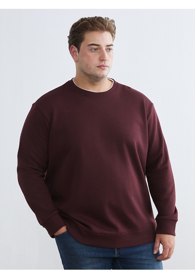 Lcw Vision Bordo Bisiklet Yaka Erkek Kalın Sweatshirt