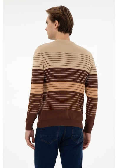 U.S. Polo Assn. Erkek Slim Fit Bisiklet Yaka Kahverengi Kazak 50297071-VR029
