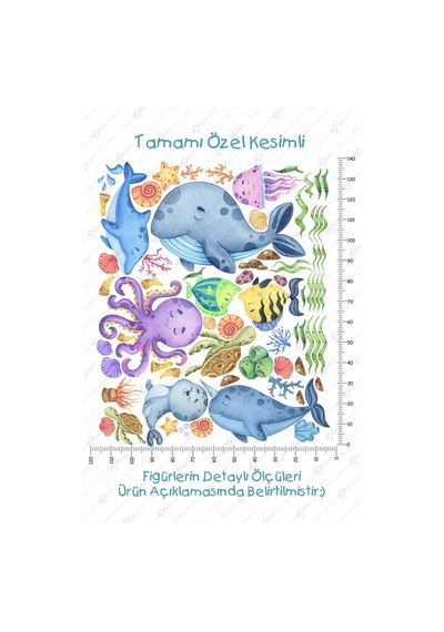 MSticker Eğitici Sevimli Deniz Hayvanları Ve Bitkiler Sticker Seti Büyük Boy