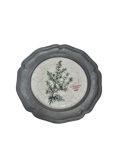Vintage Zınn Çerçeveli Dekoratif Ardıç Dalı Temalı Duvar Tabağı 10cm 004