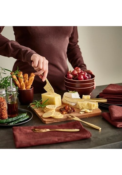 Ikea Tıllagd Peynir Bıçağı Seti, Pirinç Rengi, 4 Parça çok renkli