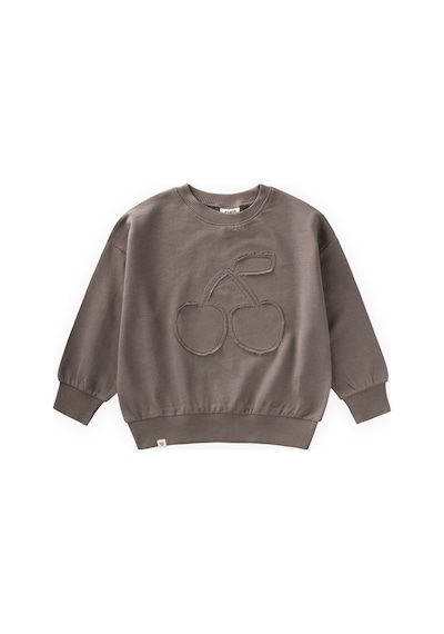 Cigit İnce Mevsimlik Sweatshirt 1-7 Yaş Vizon