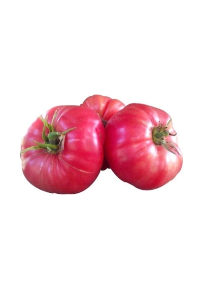 25 Adet Tohum Nadir Iri Bulgar Pembe Domates Tohumu Hobi Bahçe Domatesi Tohumu Hediye Tohumlu..