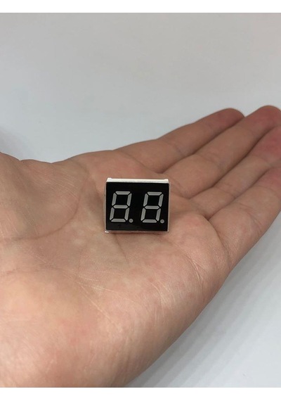 2 Karakter 7 Segment Led Display Kırmızı - 9 Pin Nümerik Gösterge