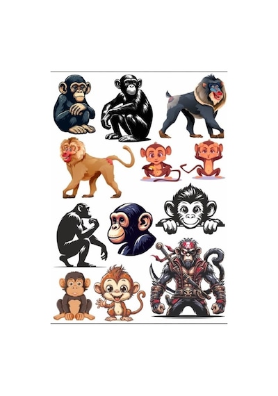 Maymun Sticker Set