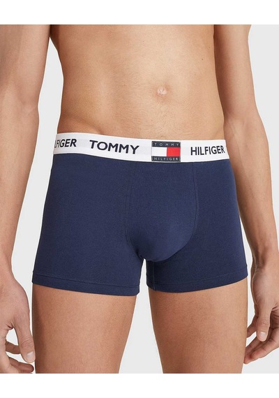 Navy Blazer Erkek Tommy Hilfiger Underwear Bottoms Erkek Boxer Um