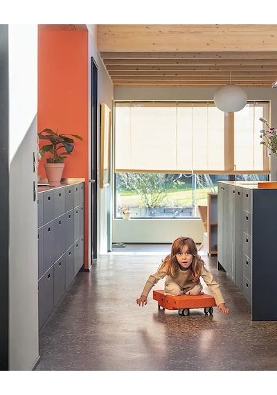 Modu Curiosity Set - Turuncu Tozlu Yeşil M-set-cur-bo-dg