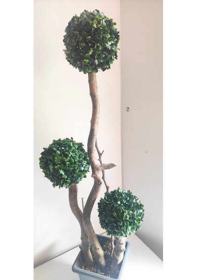 Rüzgar Çiçekcilik 110 Cm Plastik Saskida 3 Lü Top Yeşil