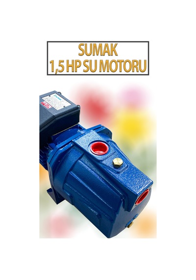 1,1 Kw 1,5 Hp 2820 D/d 5,8 A. Su Motoru 220 V/50 Hz Su Pompası Jet Pompası