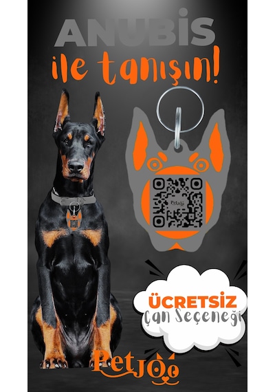 Petjoo 30.Anubis Turuncu-Gri Qr'lı Köpek Künyesi