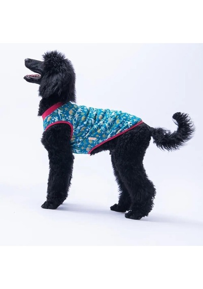 Pawstar 25851 Dino Orta-büyük Irk Köpek T-shirtü 5xl