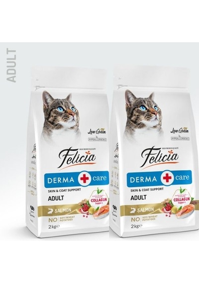 Felicia Derma Care Somonlu Yetişkin Kedi Maması 2kg X 2 Adet