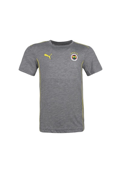 Fenerium Fenerbahçe Puma Fenerbahçe Grı Tshırt Uv Ahşap Kutu Gri