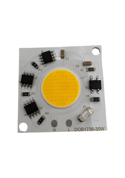 220 Volt 30 Watt 6500k Beyaz Işık Ray Spot Cob Ledi 1 Adet