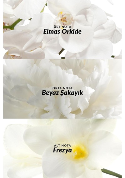 Incandessence Kadın Parfüm Edp 30 Ml. İkili Set Diğer