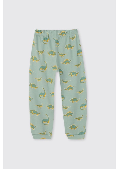 Panço Erkek Çocuk Dinozor Desenli Turkuaz Pijama Takımı Mavi
