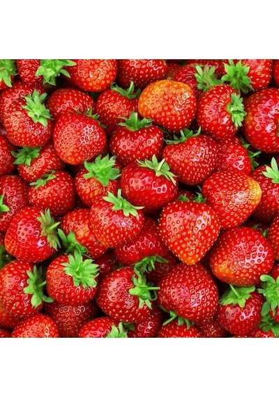 Yediveren Çilek Tohumu 1 Paket +100 Adet