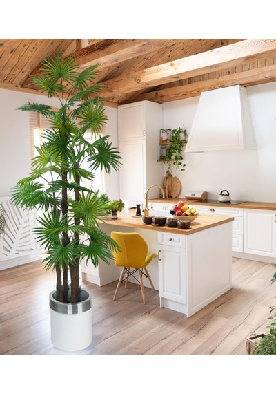 Yapay Ağaç Yelpaze Palmiye 4katlı Fanpalm 32 Yaprak Gümüş Kemerli Beyaz Saksıda 170 65cm