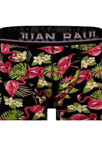 Flamingo Desenli Erkek Pamuklu Boxer
