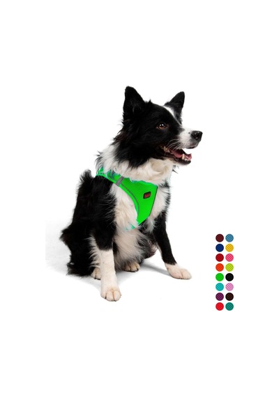 Tailpetz Air-mesh Küçük Ve Orta Irk Kedi Köpek Göğüs Tasması - Yumuşak, Nefes Alabilir, Dayanıklı Neon-yeşil, Xlarge Sku: Zeusb0b827m6kr Açık Bej - Bej Tailpetz Air-mesh Küçük Ve Orta Irk Kedi Köpek Göğüs Tasması - Yumuşak, Nefes Alabilir, Dayanıklı Neon-yeşil, Xlarge Sku: Zeusb0b827m6kr Açık Bej - Bej
