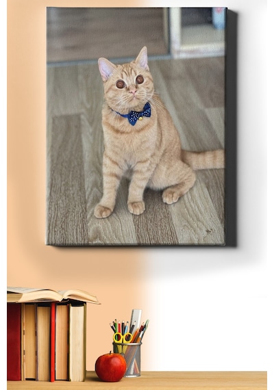 Webstyle Sayılarla Boyama Seti Kasnaklı Kedi Bakışlar 50x65 Cm