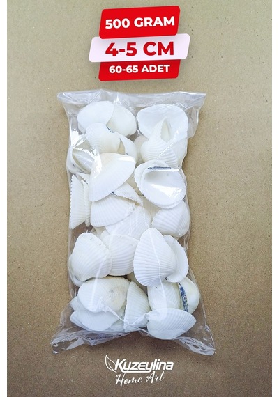 Doğal Deniz Kabuğu 500 Gram Büyük Boy 4-5 Cm