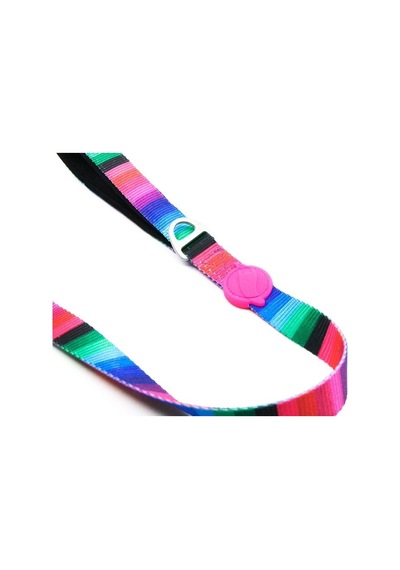 Tailpetz Wave Köpek Gezdirme Kayışı 120 Cm X 2 Cm - M Çok Renkli