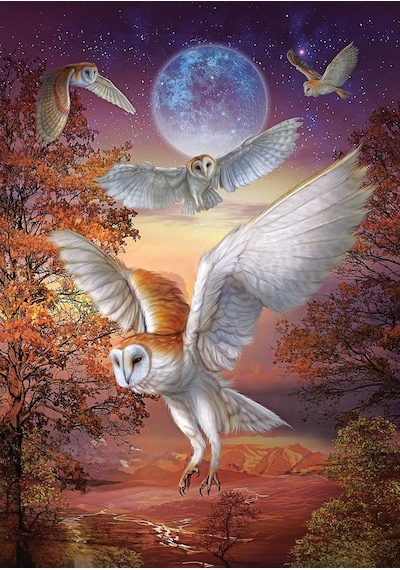 Art Puzzle Ayışığı Baykuşları 1000 Parça Puzzle