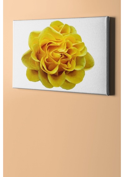 Webstyle Sayılarla Boyama Seti Kasnaklı Sarı Gül 40 X 50 Cm