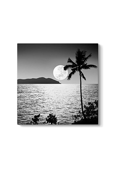 Yakamoz Tablosu 40 X 40 -