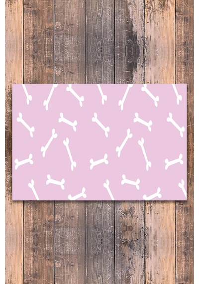 Evaşk  Vinil Kaymaz Tabanlı Keçe Baskılı Evcil Hayvan Pet Mama Paspası 30x45 Renk PEMBE PM39MPEM