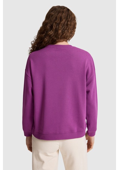 U.S. Polo Assn. Kadın Menekşe Sweatshirt 50328959-vr037 Menekse