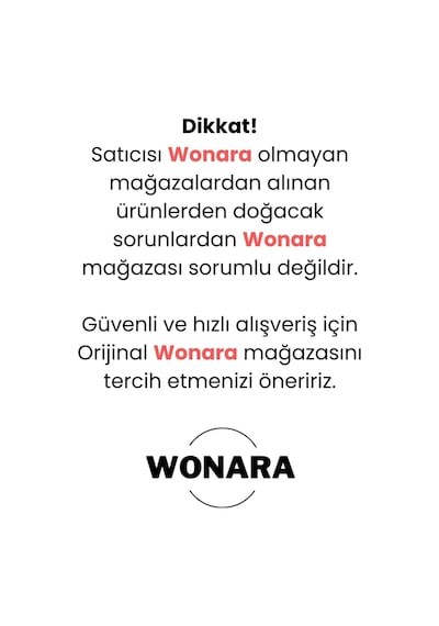 Deluxe Yüksek Güçlü Basınçlı Ayarlanabilir Başlıklı Çok Fonksiyonlu Araç Halı Yıkama Tabancası