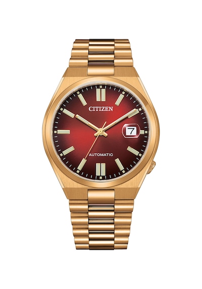 Cıtızen Tsuyosa Nj0153-82x Erkek Kol Saati Metalik