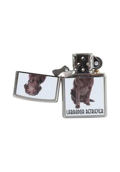 Zippo Çakmak Labrador Retriever