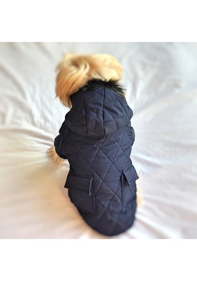 Kemique Poof Cutie Kapüşonlu Köpek Montu