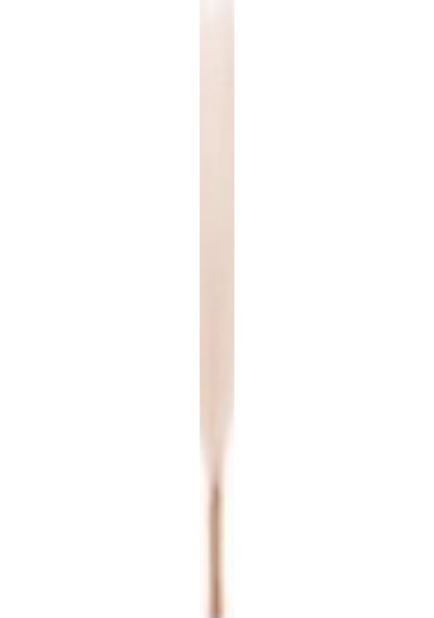 Yapay Bitki Pampas Krem 108 Cm. Çok Renkli