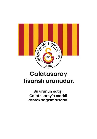 Galatasaray Orijinal Kalemlik Gold Logo Baskılı Çift Gözlü Kalem Kutusu Sarı - Kırmızı