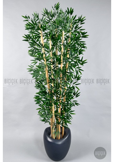 Zen Bambu Ağacı 240 Cm Antresit Bone Saksıda